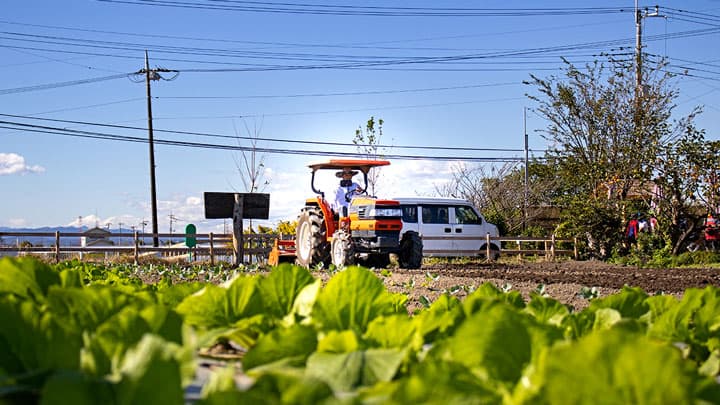 埼玉県川島町の「鎹ファーム」生産者と消費者を繋ぐ「Kasugai Green Market」開催