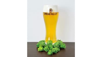 日本産ホップを楽しむ限定ビール　数量限定で発売