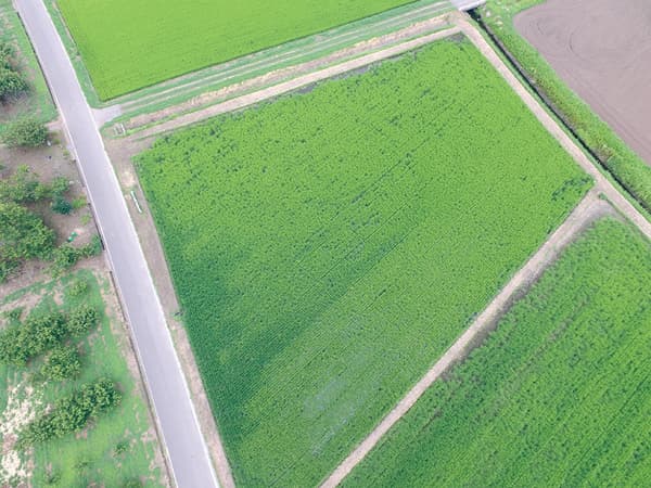 ドローンで省力化・効率化をめざす　茨城県の実証事例に学ぶ