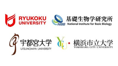 植物の狙った一細胞で遺伝子発現　誘導技術を確立　龍谷大学など