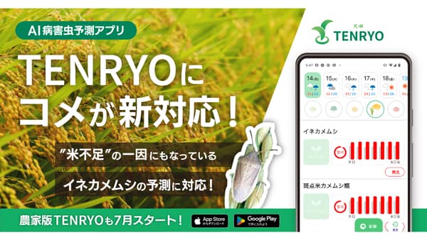 防除DXアプリ「TENRYO」米のAI病害虫予測に対応　個人農家版アプリもリリース　ミライ菜園