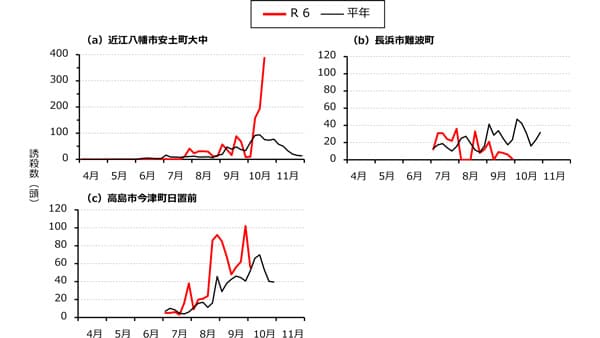 【注意報】野菜、花き類にハスモンヨトウ　県内全域で多発のおそれ　滋賀県