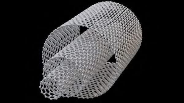 ナノ素材活用で蓄電量の高い電極素材　開発成果を紹介　生研支援センター