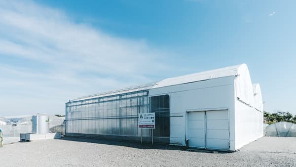 企業の農業参入　相談受付開始　耕作放棄地問題解決と生産基盤強化へ　AGRIST