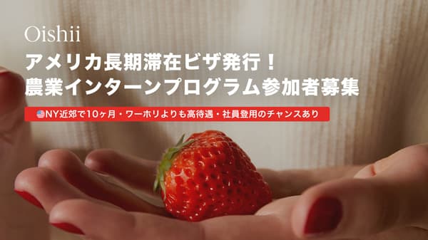 NY近郊で農業インターンプログラム実施　参加者を募集　Oishii Farm