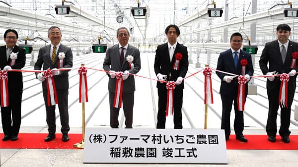 「ファーマ村いちご農園　稲敷農園」第一期竣工　持続可能な農業で高品質イチゴを大規模生産