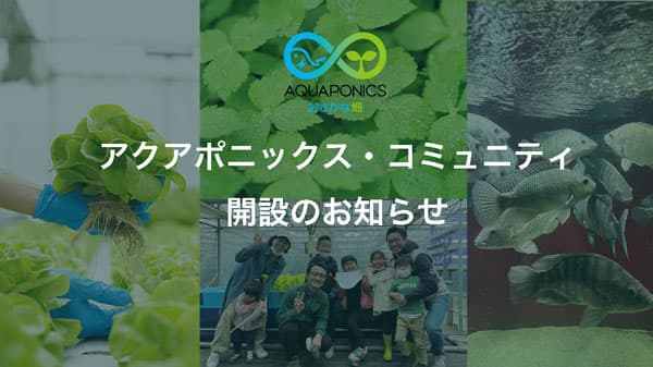 循環型農業"アクアポニックス"の課題解決へ「アクアポニックス・コミュニティ」開設