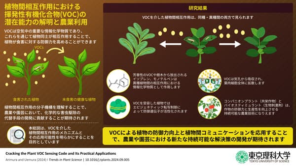 植物における匂い（VOC）の作用と認識メカニズムを総括　東京理科大