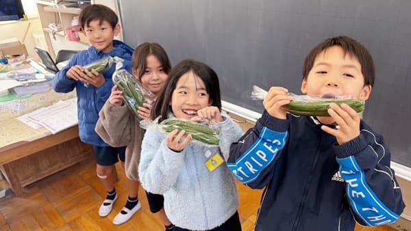 千葉県館山市の教室で茨城県のキュウリを収穫　次世代型食農教育を実施　AGRIST
