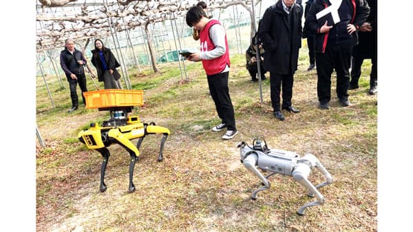 犬型ロボットが農作業を支援　岡山大学農場で最新技術の実証実験を実施
