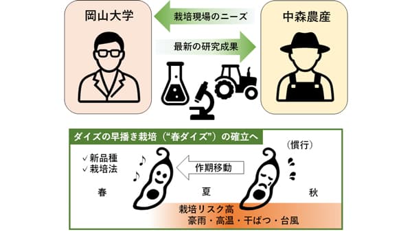 ダイズの生産向上へ　岡山大と中森農産が共同研究　新たな栽培法や品種を育成