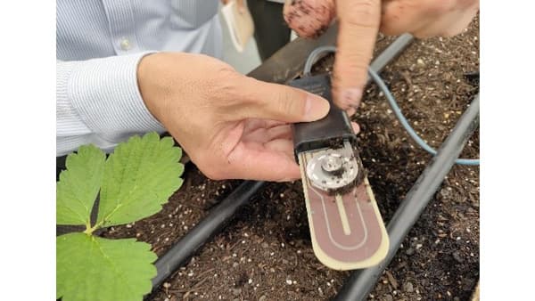 スマート農業分野の灌水制御技術　デンソーと共同で検証開始　ディーピーティー