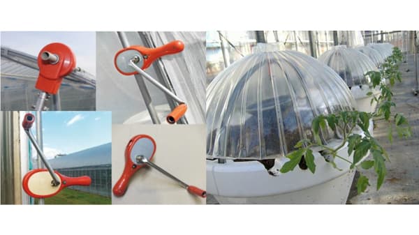 日本の農業技術をインドへ　エムスクエア・ラボと共同事業開発契約を締結　誠和