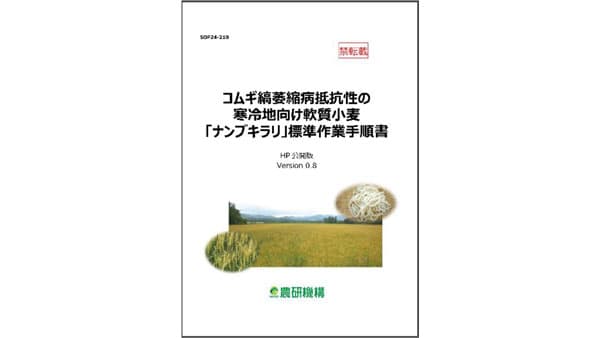 コムギ縞萎縮病抵抗性の寒冷地向け軟質小麦「ナンブキラリ」標準作業手順書を公開　農研機構