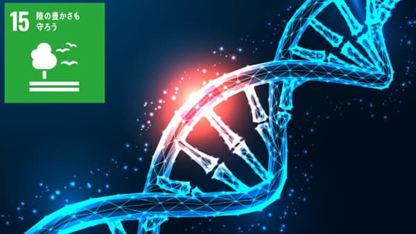 ゲノム編集で遺伝子の働きを部分的に抑える新技術　実証実験に成功　熊本大学