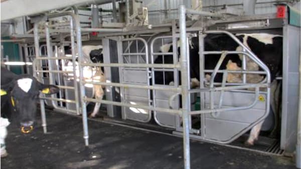 農業と暮らしを結ぶサイエンス「農研機構冬のオンライン一般公開2024」開催