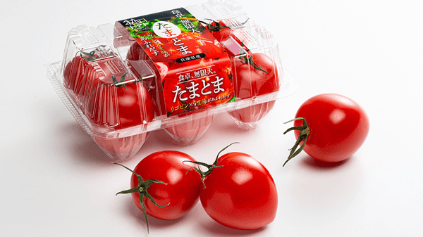 「神戸挑戦企業等支援補助金」採択　サステナ栽培システムと高付加価値トマト開発　ゼブラグリーンズ