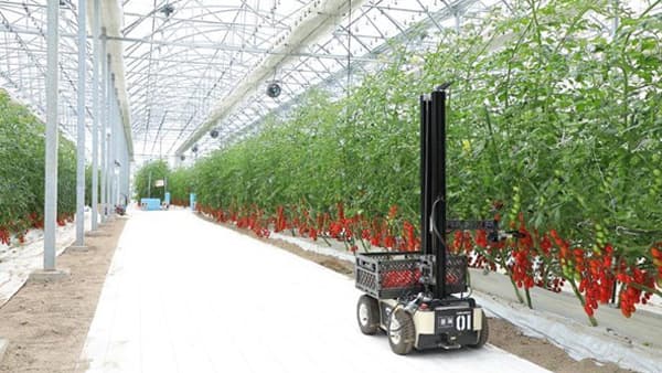 水ingとエリアオーナー契約締結　農業参入PoCを開始　トクイテン