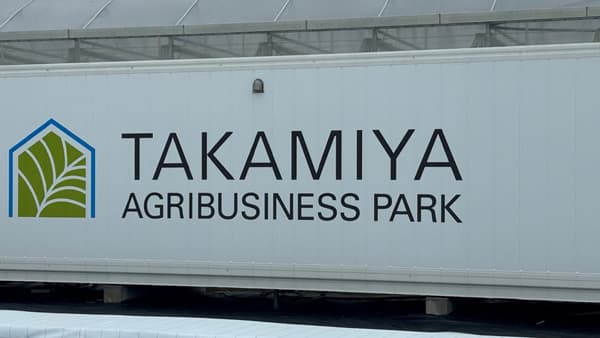 NEXTAGE「コンテナ型わさび栽培モジュール」埼玉県羽生市「TAP」で栽培サポート開始