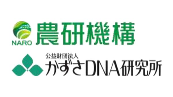 黒星病に強いナシ品種づくり　DNAマーカーで効率化　農研機構×かずさDNA研究所