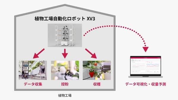 イチゴ自動栽培ソリューション「HarvestX」発表　HarvestX