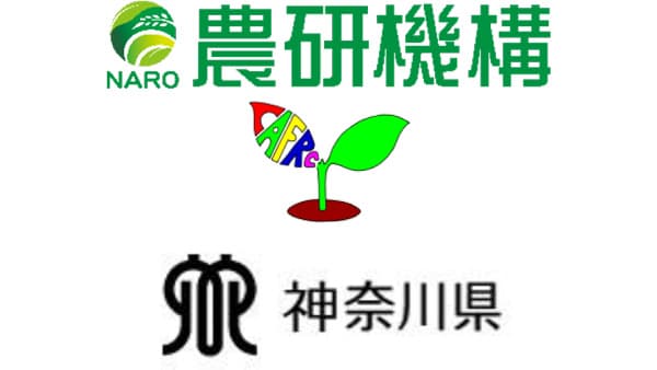 特定外来生物ナガエツルノゲイトウ　水稲移植栽培での除草剤による防除技術を開発