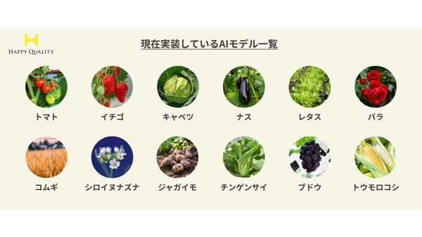 植物の気孔をリアルタイム観察「Stomata Scope」検出モデルを12種類に拡大　Happy Quality