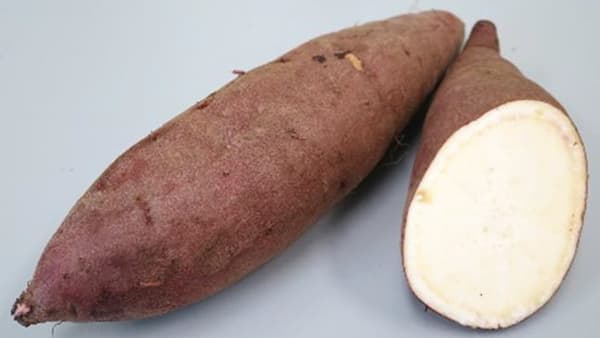 サツマイモ基腐病に強い青果用新品種「べにひなた」育成　農研機構