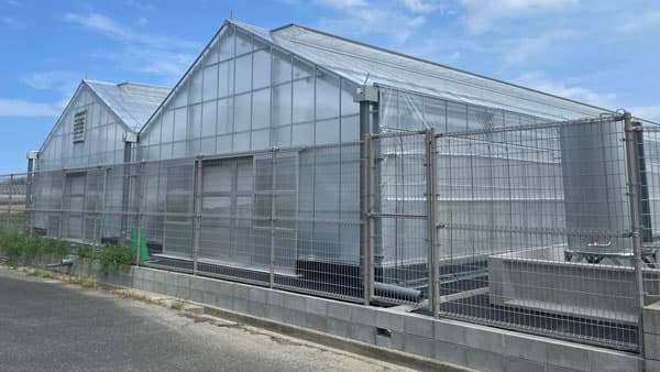 九州大学とwelzo　CO2排出ゼロの窒素肥料開発へ共同研究開始