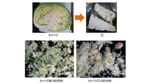 キャベツの芯から新素材　廃棄部位利用で3Dプリント食品の表現力を拡大　農研機構