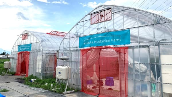 AI潅水施肥システム「ゼロアグリ」クボタの実証農場でトマト養液栽培スマート実証に参画