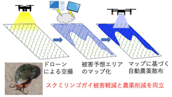 「ジャンボタニシ」の食害被害を防ぐ新技術開発　ドローンで被害を事前予測・スポット散布　農研機構