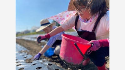 名古屋・一宮で新規就農を目指す農業研修生を募集開始　アグリンクス