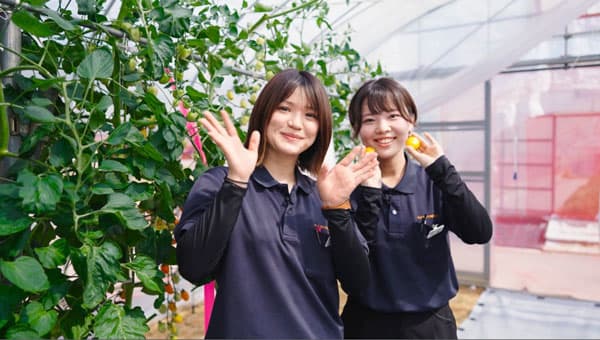 農場特別見学会の世界へ　Youtubeで動画公開　ナント種苗