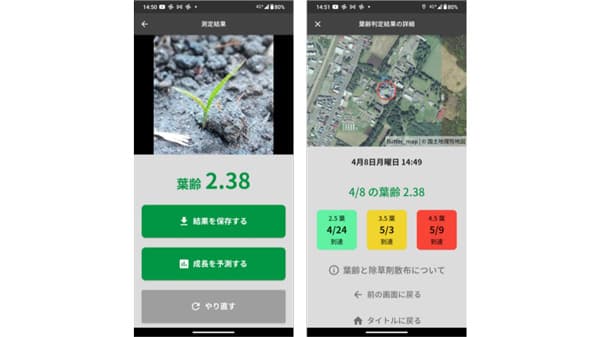 乾田直播での計画的雑草防除を支援「ノビエ葉齢判定アプリ」公開　農研機構