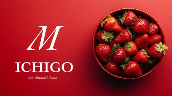 AIロボット×LED　次世代いちご栽培へ　共立電照と実証実験開始　AGRIST