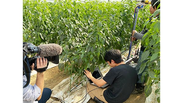 ピーマン収穫ロボットの実証実験めざし　大分県IoT推進ラボ認定　アグリスト