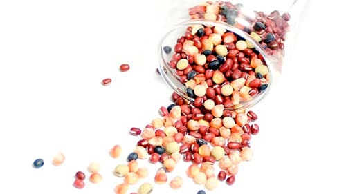 世界初の研究で種子寿命が判明　農研機構