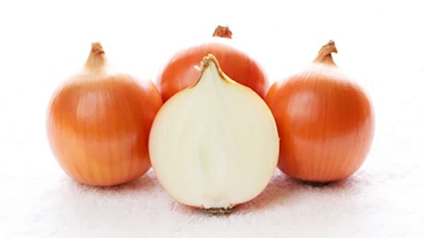 タマネギのケルセチンに認知機能維持を確認　機能性表示食品へ期待　農研機構などの研究で