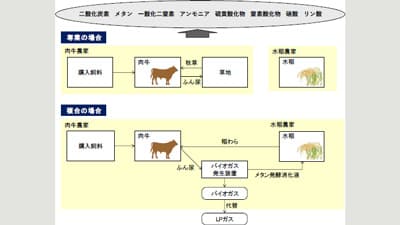ベトナム・メコンデルタで温室効果ガス削減効果を評価　国際農研など