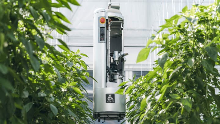 「第28回みやざきテクノフェア」AI搭載のピーマン自動収穫ロボット展示　アグリスト