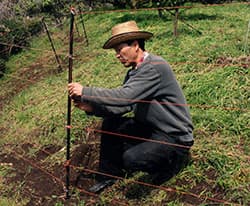 【ＳＴＯＰ獣害】「畑守れた！」