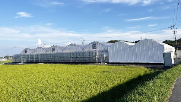 「げんき農場」 佐賀県基山町にいちご農場を新規開設　西日本で初出店　渡辺パイプ