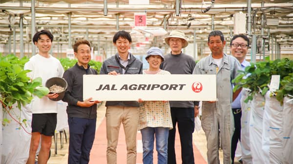 JAL Agriport　いちご農園にエステック製「100％紙製苗止めクリップ」採用