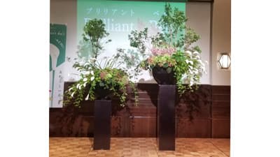 千葉県開発のカラー新品種「Brilliant・Bell」がデビュー