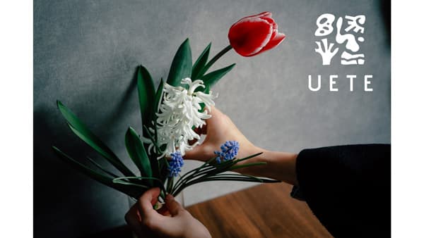 家庭菜園ブランド「UETE」に初心者も楽しめる「球根の栽培キット」新登場　タキイ種苗