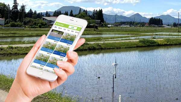 スマホ管理の田んぼ水位センサーなど3万台突破
