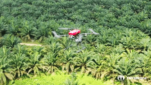 インドネシア最大級のパーム農園にドローン監視システムを導入　テラドローン