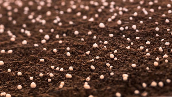 安定化尿素肥料による温室効果ガス排出削減を検証　登録に成功　BASF×雲天化