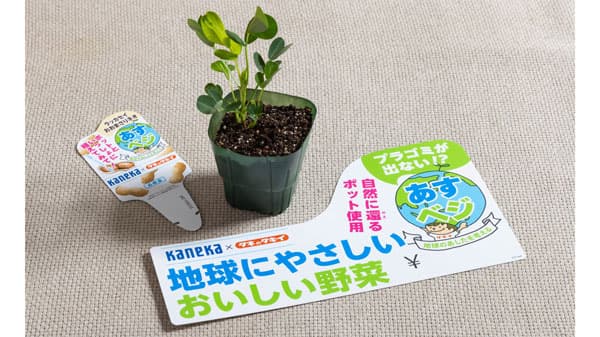 KANEKAと限定コラボ野菜苗「あすべジ苗」ラインナップ拡充　タキイ種苗